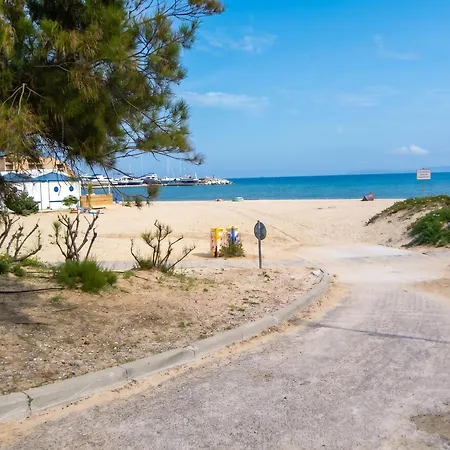 A Les Mimosas A 50 M De La Avec Vue Sur La Piscine Partagee Et Balcon Bormes-les-Mimosas