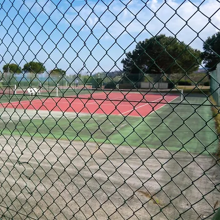 A Les Mimosas A 50 M De La Avec Vue Sur La Piscine Partagee Et Balcon Appartement *